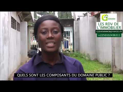 COMMENT EVITER LES ARNAQUES ET LITIGES DANS LE FONCIER RURAL EN COTE D'IVOIRE?